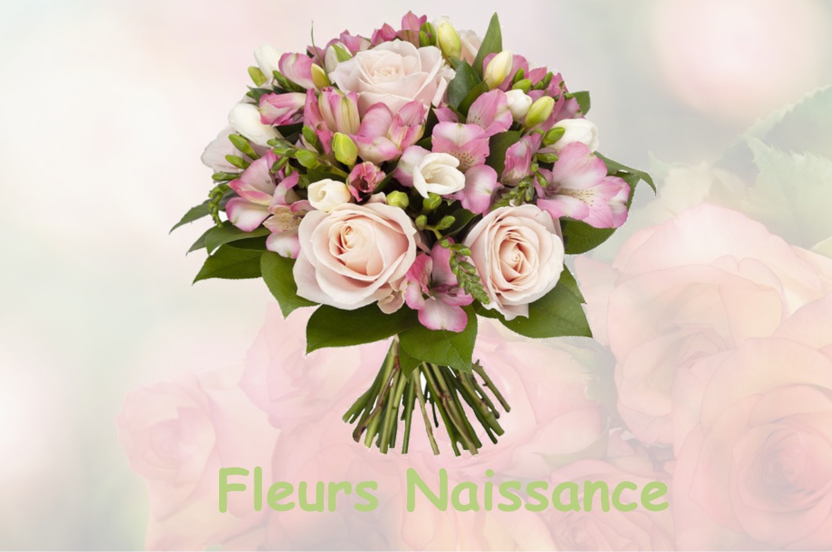 fleurs naissance MONDILHAN