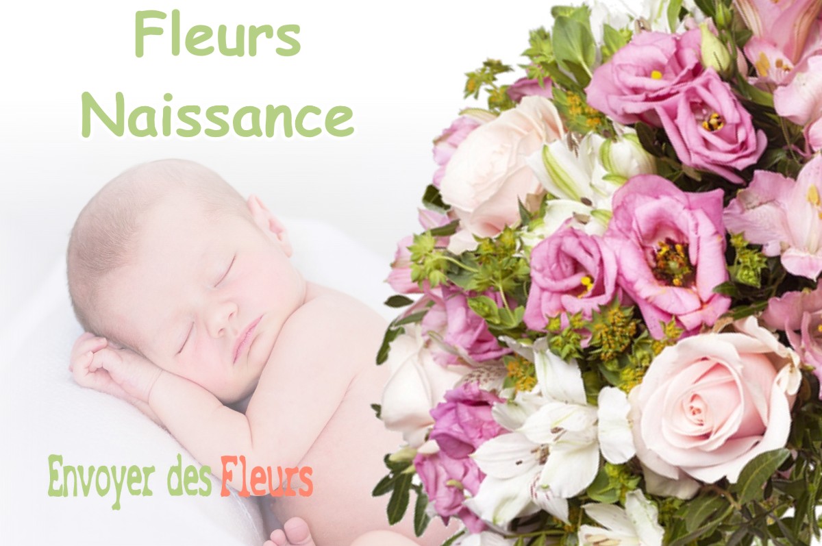 lIVRAISON FLEURS NAISSANCE à MONDILHAN